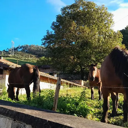 Campa Pensión *