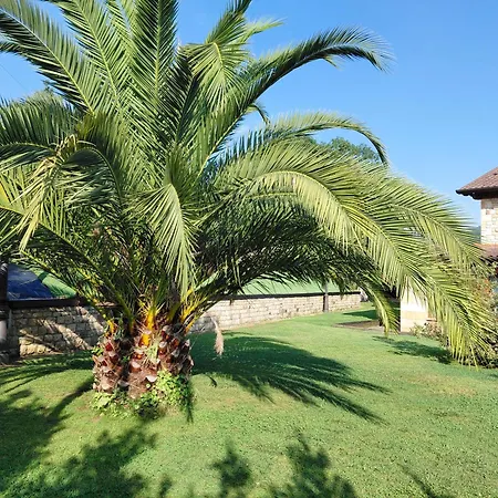Campa *