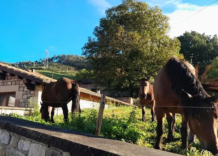 Campa Maison d'hôtes 3*